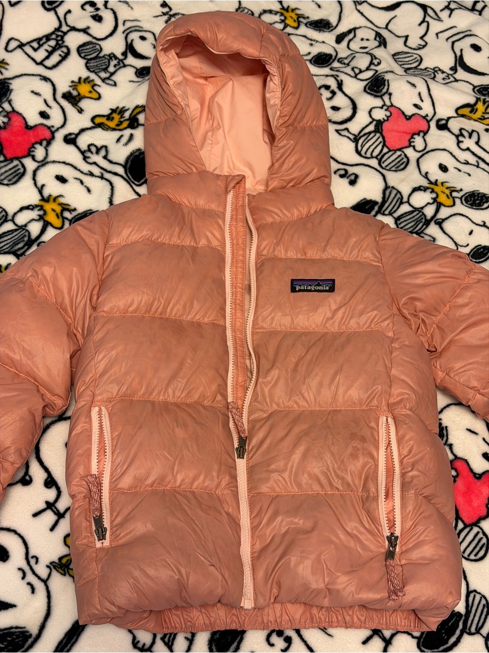 Patagonia kids Hooded Puffer Jacket — Pink